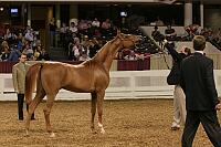 04usn-1505 proof