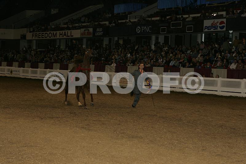Proof 04usn-3984