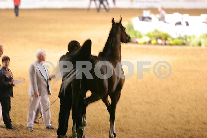 Proof 04usn-4241