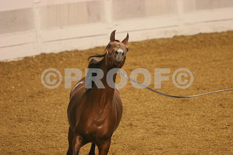 Proof 04usn-4246