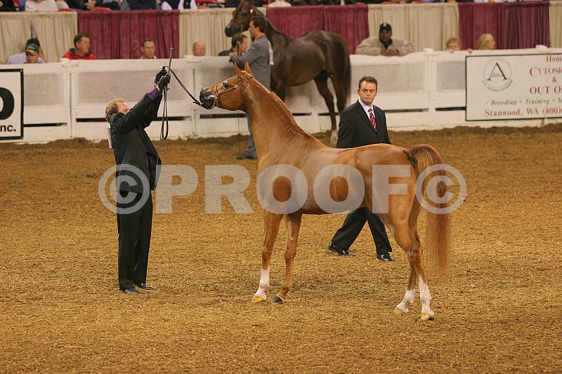 Proof 04usn-4267