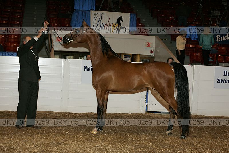 Proof bky_05__0259