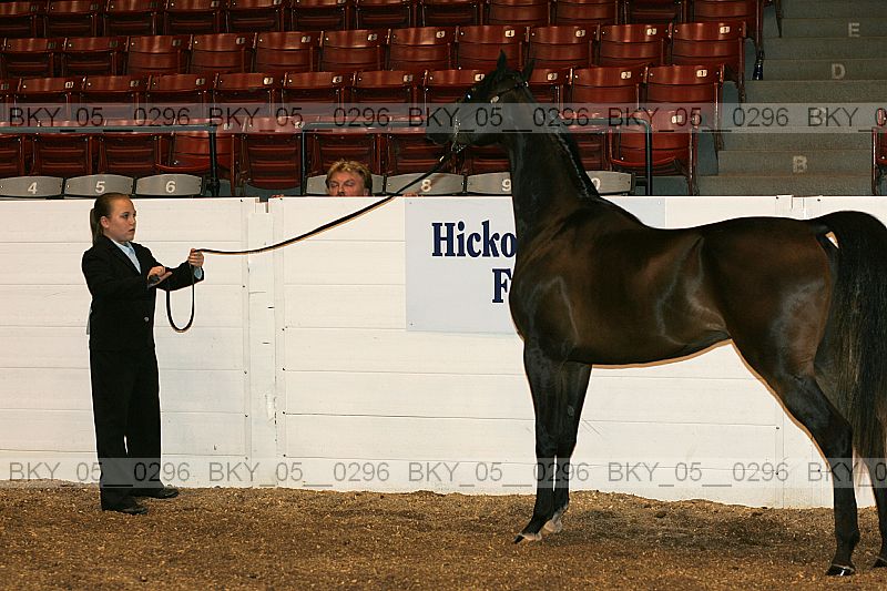 Proof bky_05__0296