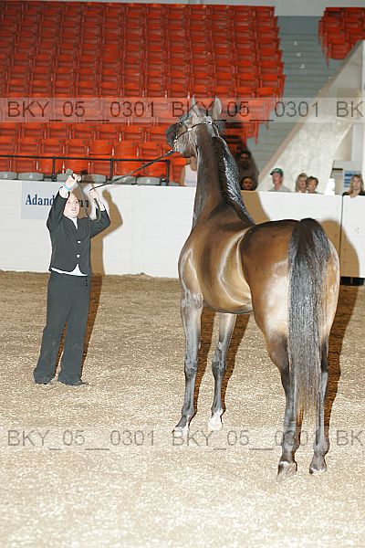 Proof bky_05__0301