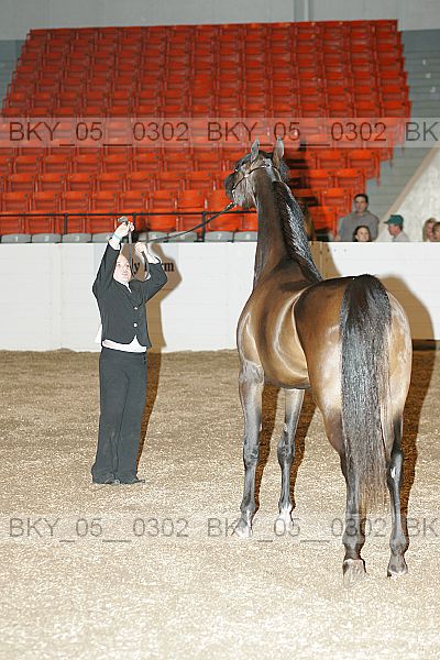 Proof bky_05__0302