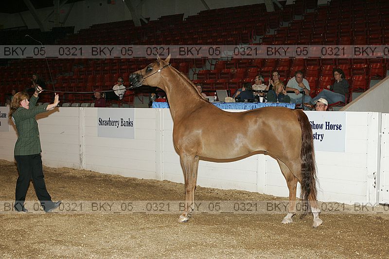Proof bky_05__0321