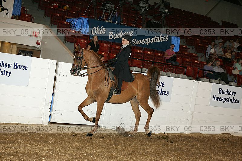 Proof bky_05__0353