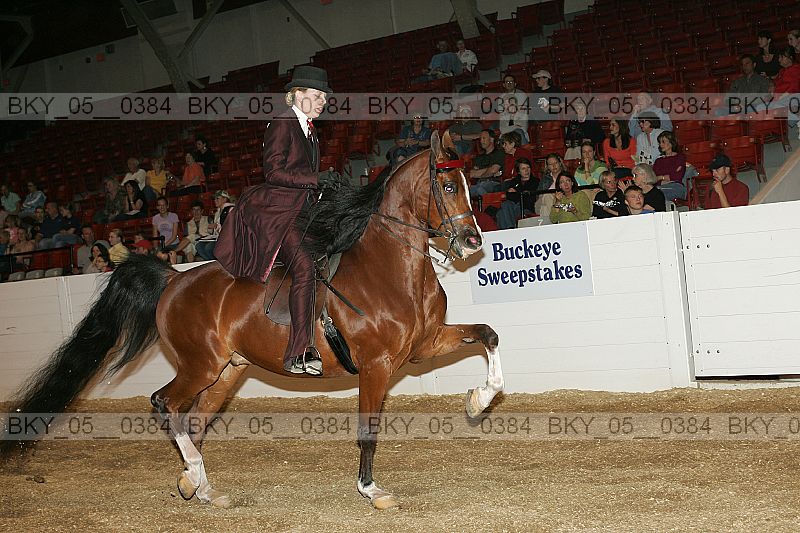 Proof bky_05__0384
