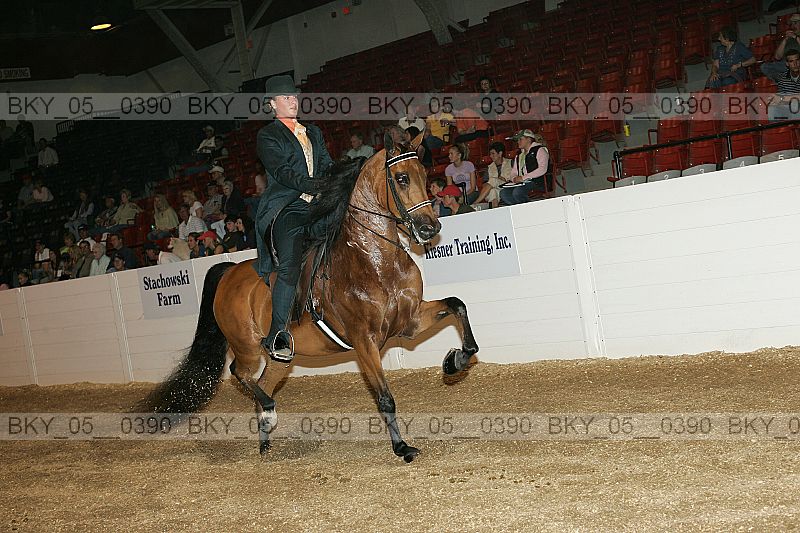 Proof bky_05__0390