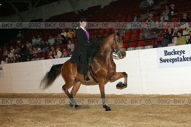 Proof bky_05__0392