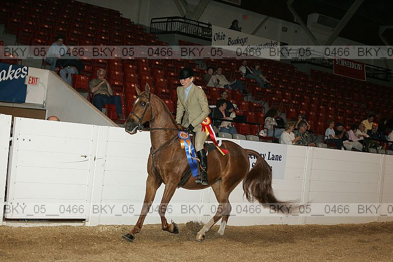 Proof bky_05__0466