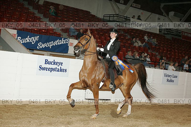 Proof bky_05__0481
