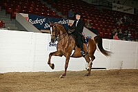 bky_05__0483 proof