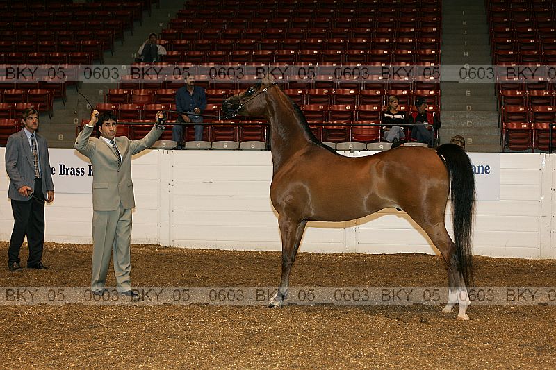 Proof bky_05__0603