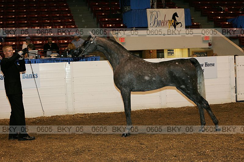 Proof bky_05__0605