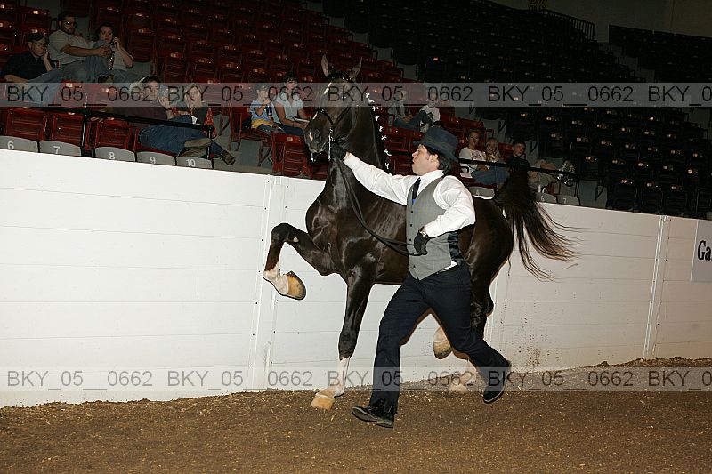 Proof bky_05__0662