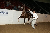 bky_05__0665 proof