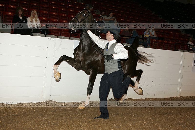 Proof bky_05__0666