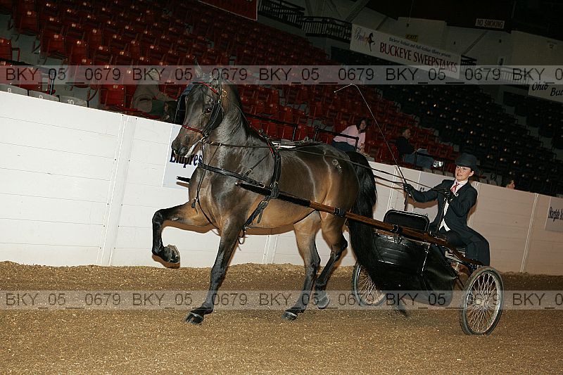 Proof bky_05__0679