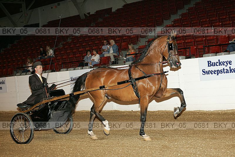 Proof bky_05__0681