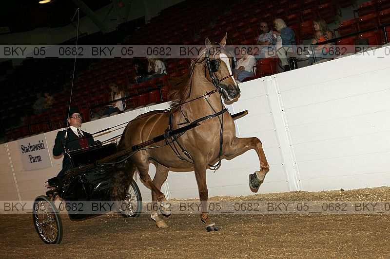 Proof bky_05__0682