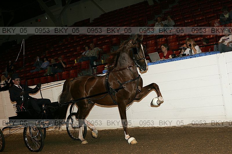 Proof bky_05__0953