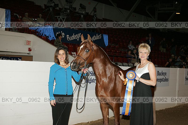 Proof bky_05__0962