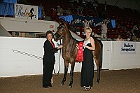 bky_05__0966 proof