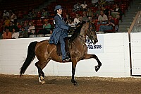 bky_05__1054 proof