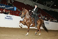 bky_05__1073 proof
