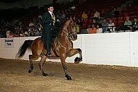 bky_05__1076 proof