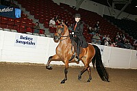 bky_05__1200 proof
