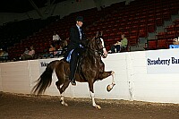 bky_05__1264 proof