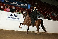 bky_05__1295 proof
