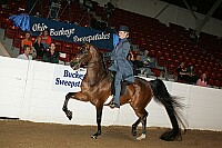 bky_05__1346 proof