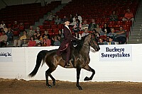 bky_05__1377 proof