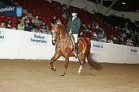 bky_05__1392 proof