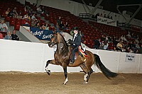 bky_05__1666 proof