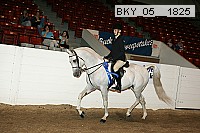 bky_05__1825 proof