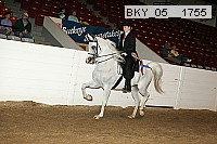 bky_05__1755 proof