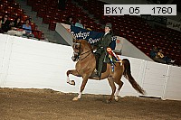 bky_05__1760 proof