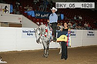 bky_05__1828 proof
