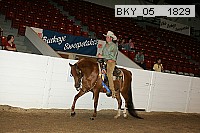 bky_05__1829 proof
