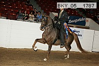 bky_05__1787 proof