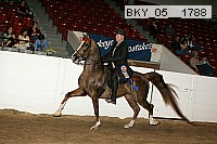 bky_05__1788 proof