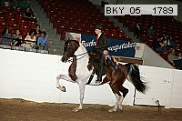 bky_05__1789 proof