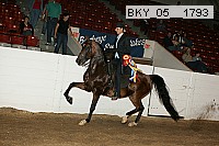 bky_05__1793 proof