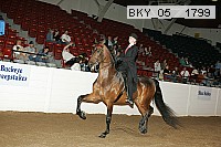 bky_05__1799 proof