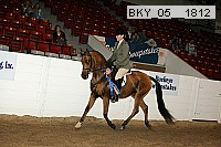 bky_05__1812 proof