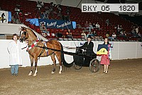 bky_05__1820 proof